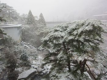 雪の栃木_02.jpg